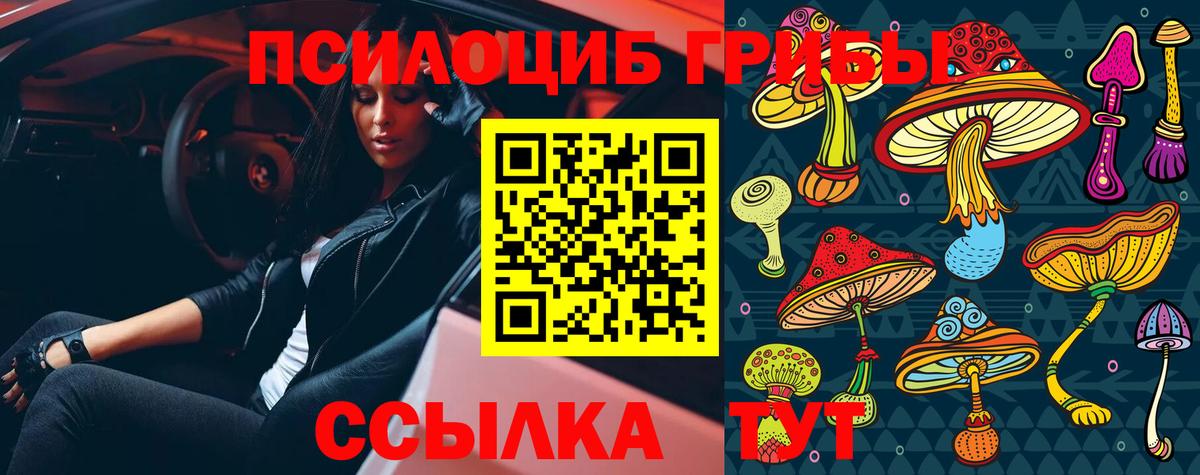 Кулебаки  Галлюциногенные грибы ЛСД  Вход с VPN  Псилоцибиновые грибы GOLDEN TEACHER 