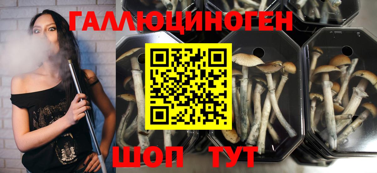 купить наркотик  Кулебаки  Галлюциногенные грибы ЛСД 