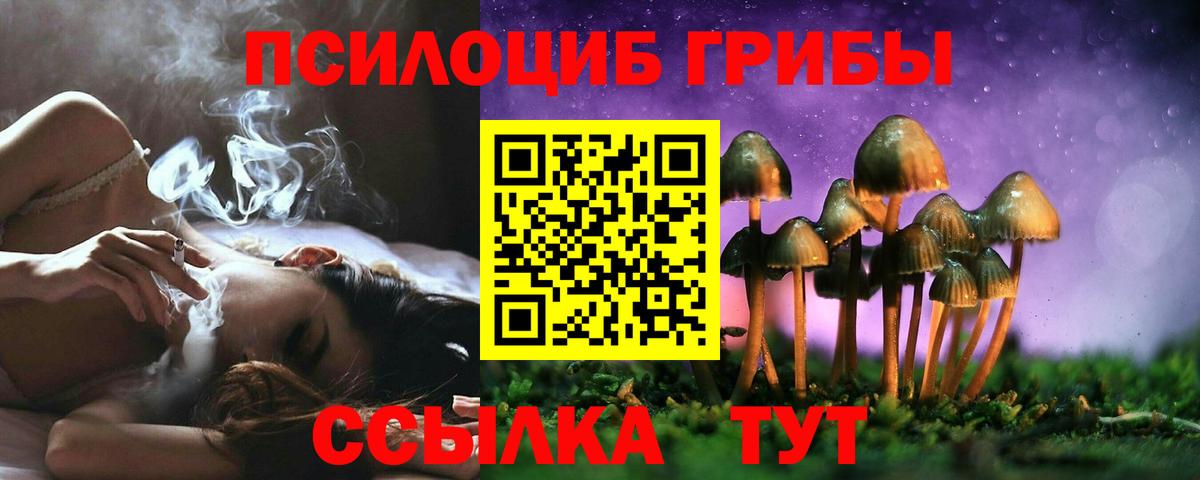 Псилоцибиновые грибы мухоморы Кулебаки